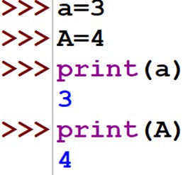 case sensetive in python